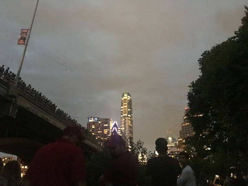 Gallery image 54